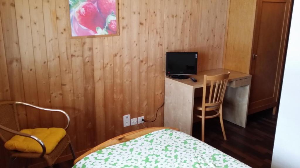 Hotel Restaurant Walliser Sonne Reckingen Δωμάτιο φωτογραφία